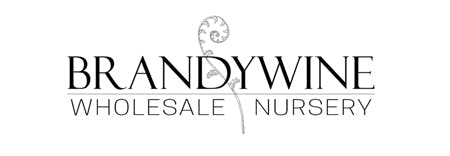 Brandywine Nursery