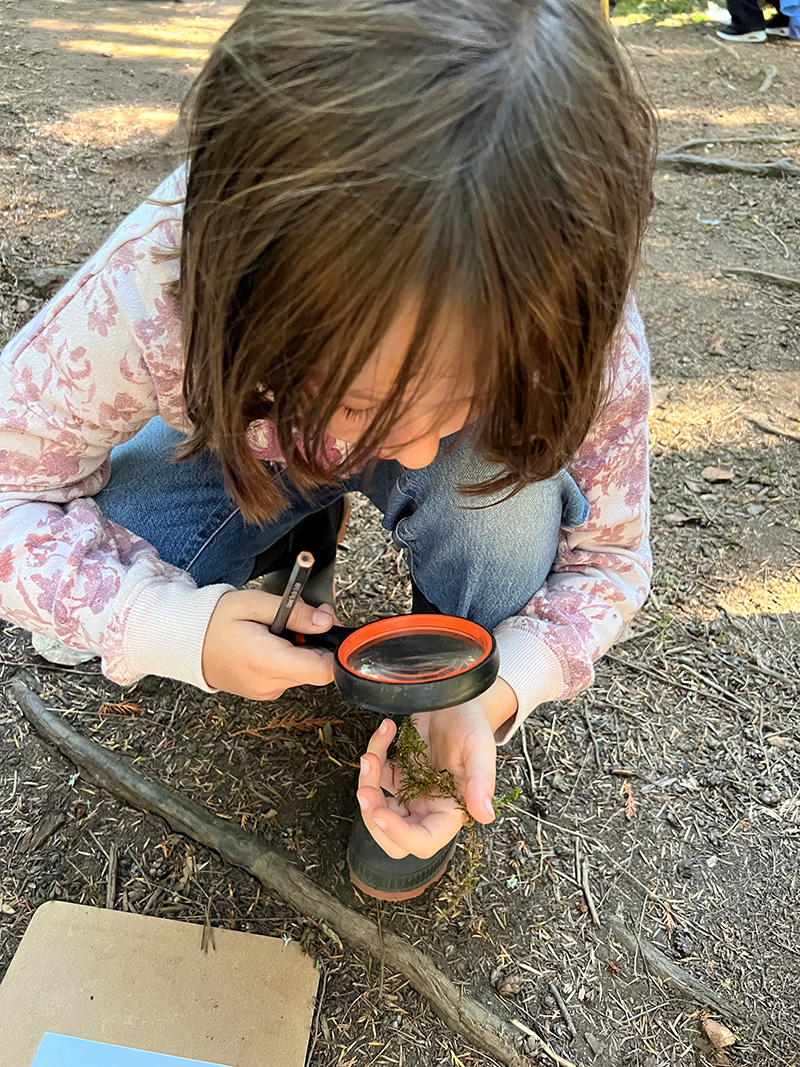 A student examines a bit of moss with a magnifying glass at Cedar School on a trip sponsored by Anacortes Schools Foundation.